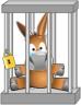 eMule : où est passé Razorback ?