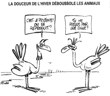 c'est le printemps c'est le printemps