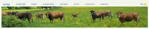 la banniere par défaut la banniere par défaut
