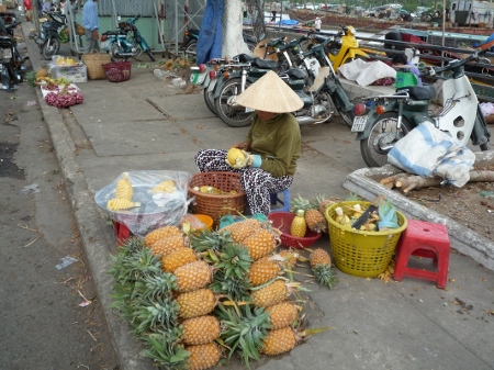il est beau mon ananas ! il est beau mon ananas !