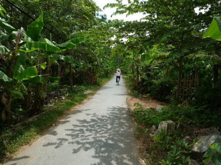 petit chemin de campagne petit chemin de campagne