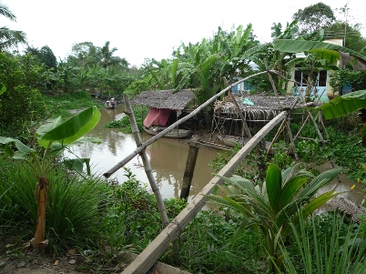 un petit pont de bambou à franchir un petit pont de bambou à franchir