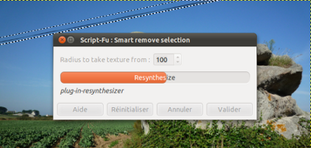 le plugin Resynthetizer en action le plugin Resynthetizer en action