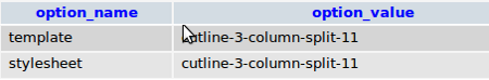 wp_options wp_options