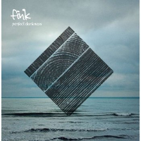 Perfect Darkness - Fink