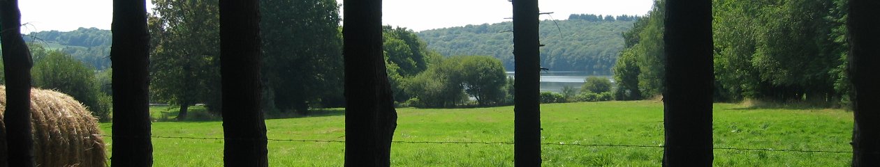 Pascal's weblog