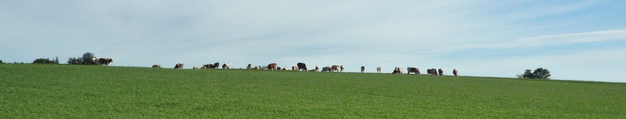 Pascal's weblog