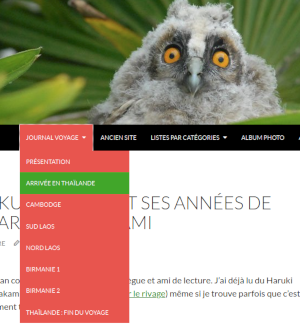 Journal de voyage